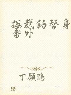 总裁的替身前妻番外