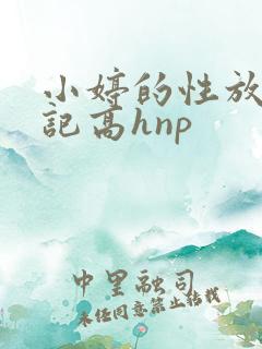 小婷的性放荡日记高hnp