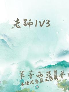 老师1V3