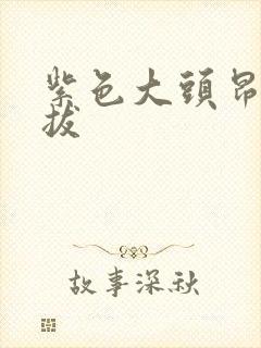 紫色大头昂扬挺拔