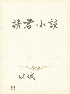 请君小说
