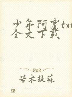 少年阿宾txt全文下载