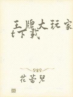 王牌大玩家txt下载