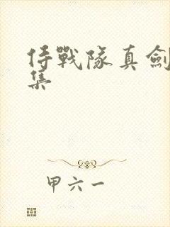 侍战队真剑者全集