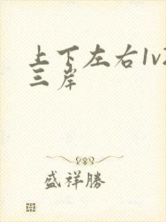 上下左右1v2三岸