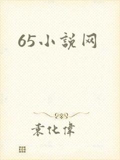 65小说网