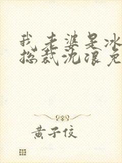 我老婆是冰山女总裁沈浪免费阅读