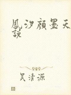 凤汐颜墨天问小说