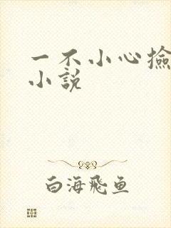 一不小心捡到爱小说