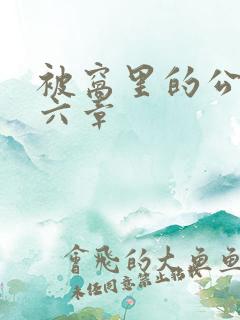 被窝里的公息十六章