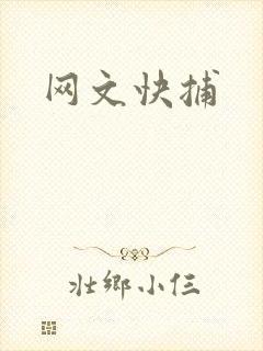 网文快捕