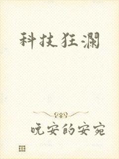 科技狂澜