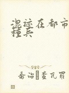 混迹在都市的特种兵