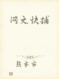 网文快捕