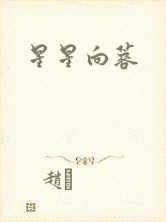星星向蓉