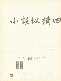小说纵横四海