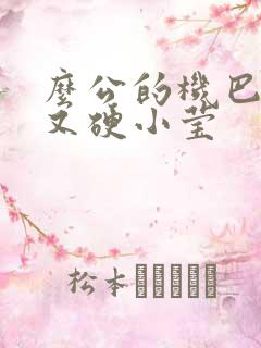 么公的机巴又粗又硬小莹