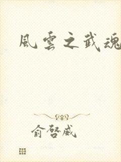 风云之武魂