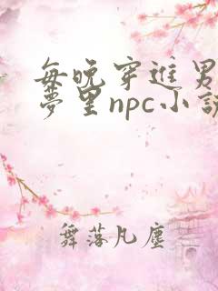 每晚穿进男神的梦里npc小说