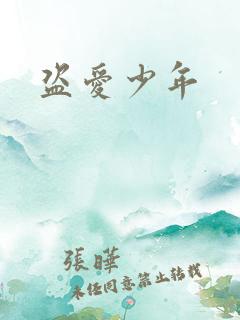 盗爱少年
