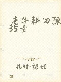 老牛耕田陈雪435章