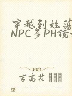 穿越到姓荡游戏NPC多PH镜姬
