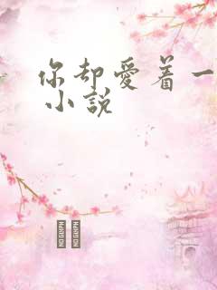 你却爱着一个他 小说