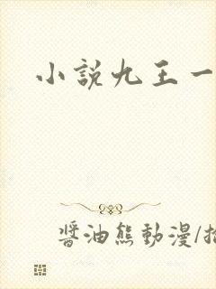 小说九王一后