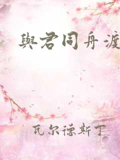 与君同舟渡小说