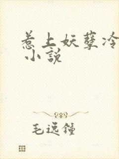 惹上妖孽冷殿下 小说