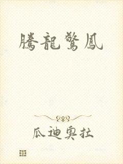 腾龙惊凤