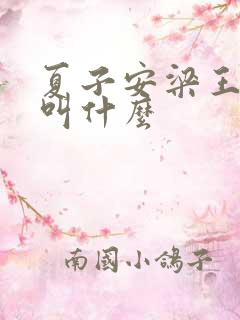 夏子安梁王书名叫什么