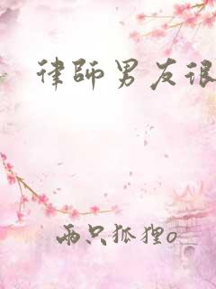 律师男友很难撩