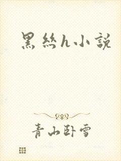 黑丝h小说