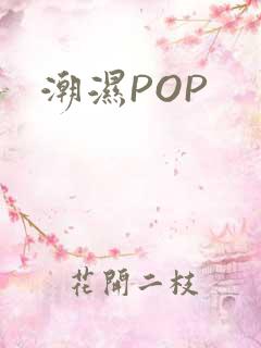 潮湿POP