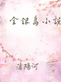 金银岛小说