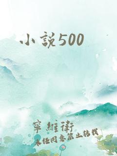小说500