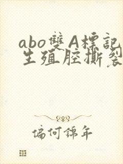 abo双A标记生殖腔撕裂