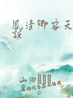 凤清卿容天凌小说