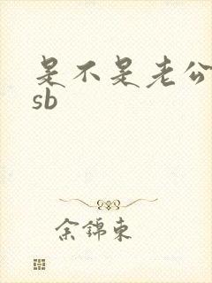 是不是老公的小sb