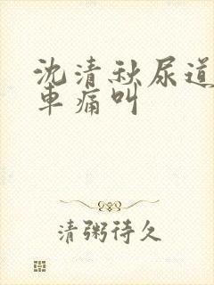 沈清秋尿道扩张车痛叫