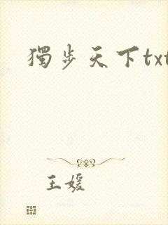 独步天下txt