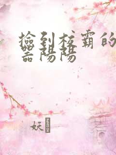 捡到校霸的遥控器阳阳