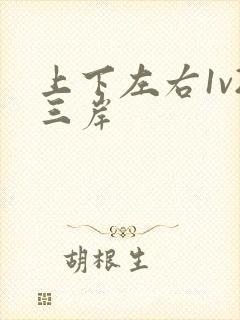 上下左右1v2三岸