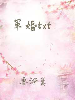 军婚txt