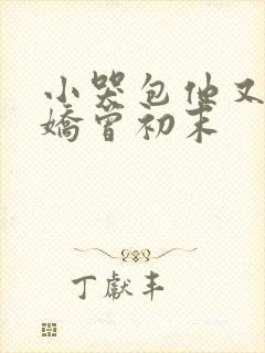 小哭包他又软又娇曾初末