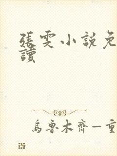 张雯小说免费阅读