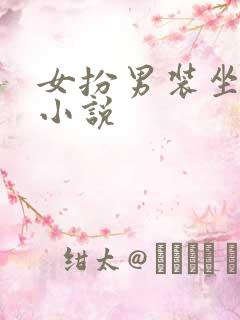 女扮男装坐江山小说