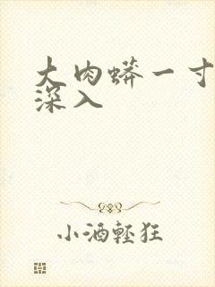 大肉蟒一寸寸地深入