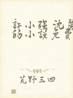 许小强 沈丽娟的小说免费阅读